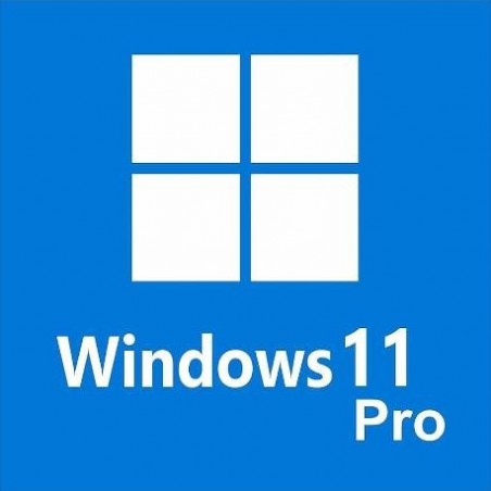 Windows 11 Professional 32/64 Multi-idioma Ativação Online