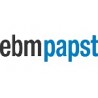 Papst